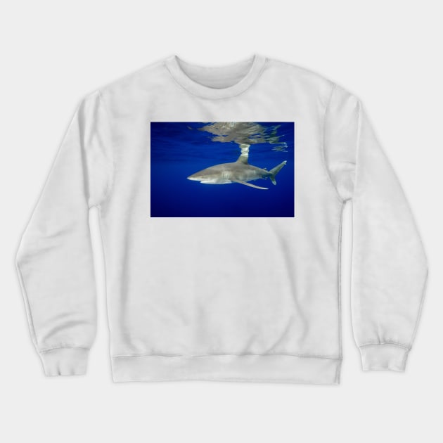 Cruising Oceanic White Tip Shark Crewneck Sweatshirt by jbbarnes